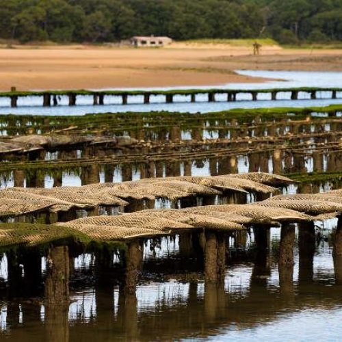 location tpe la roche sur yon et en vendée